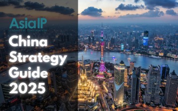 China Strategies Guide 2025