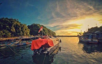 IP registrations in Indonesia increasing