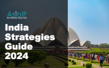 India Strategies Guide 2024