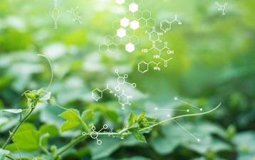 Piracy of traditional knowledge: urgent need for equitable solutions