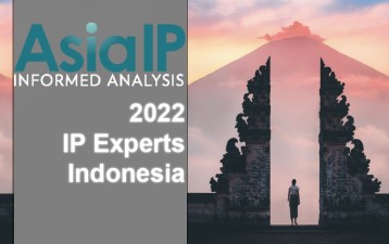 Indonesia IP Experts 2022