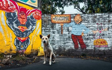 Global brand, local trouble: The challenge of proving a well-known mark in Indonesia