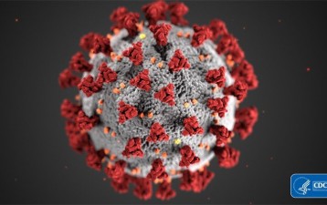 Coronavirus brings phishing scams