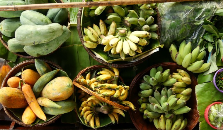 IPOPHL brings more Philippine farm products to the global stage through GI protection