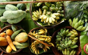 IPOPHL brings more Philippine farm products to the global stage through GI protection