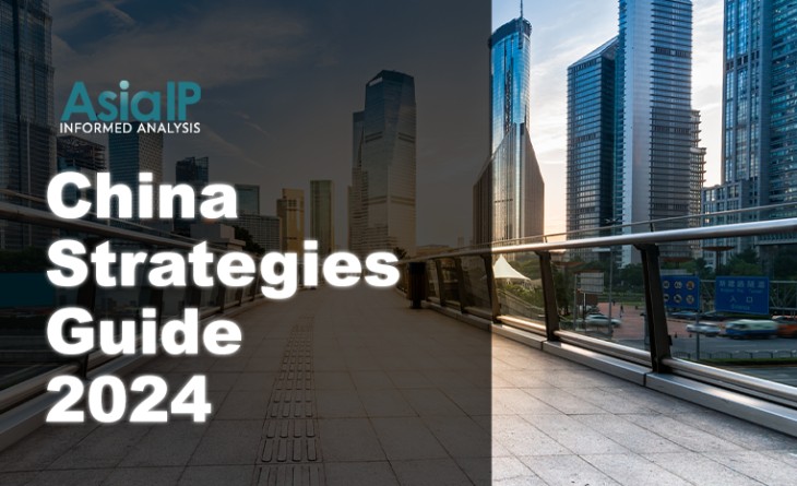 China Strategies Guide 2024