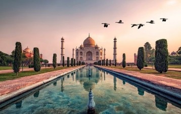 Centre Promulgates Tribunal Reforms Ordinance