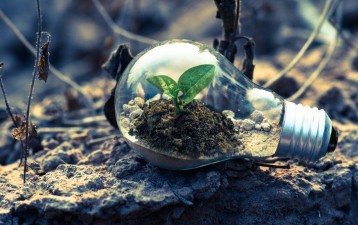 Small entities, big impact: the surprisingly sized world of sustainable development